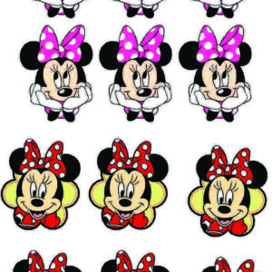 aplique termocolante