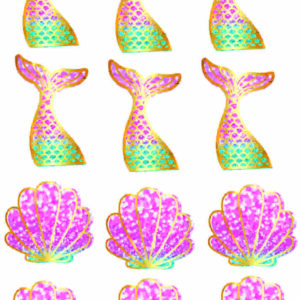 aplique termocolante