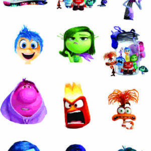 aplique termocolante