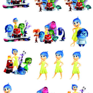 aplique termocolante