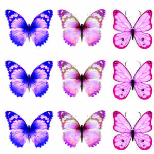 aplique termocolante