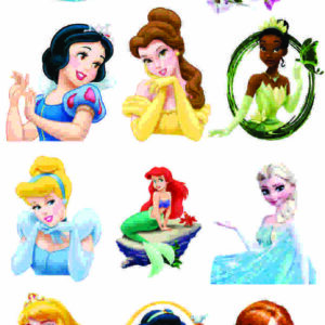 aplique termocolante