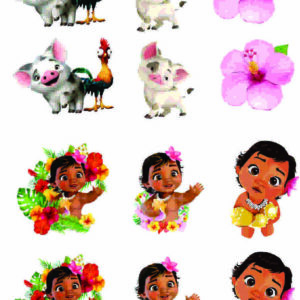 aplique termocolante