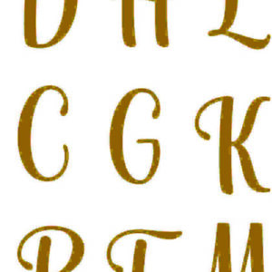 aplique termocolante