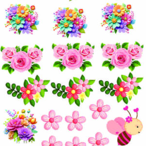 aplique termocolante